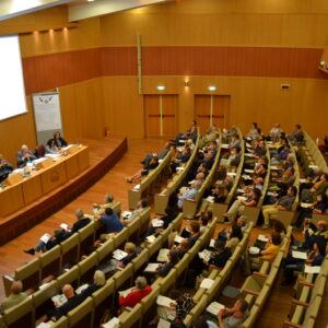 CONGRESSO DI ROMA 2013-1